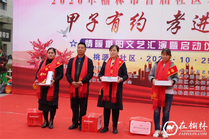 驼峰办桃源路社区举办首届老年文化节