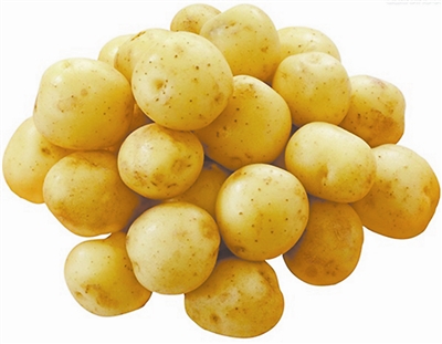 定边马铃薯成为国家地理标志保护产品