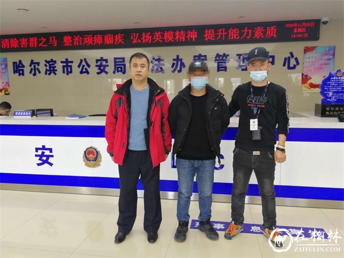 法网恢恢,疏而不漏——冰城公安机关成功抓获一名网上逃犯