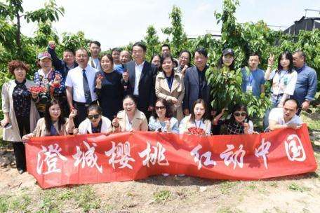 贺！澄城县六种农特产品成功纳入陕西乡村特色产业名录