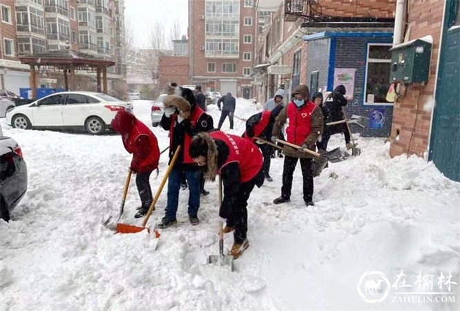 黑龙江哈尔滨市平房区发动各方力量迎战暴风骤雪