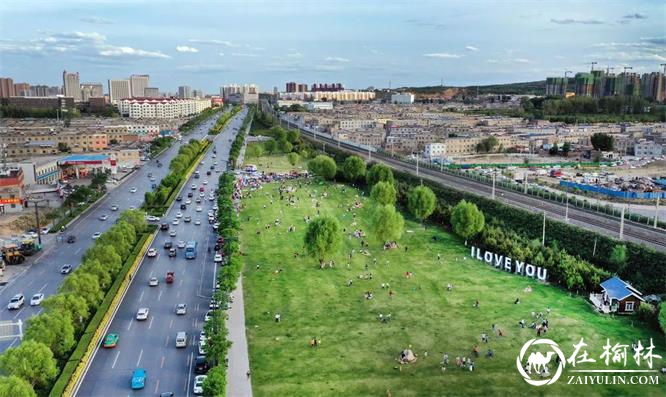 回眸“十三五” | 榆林：昔日沙如雪 今朝林似海