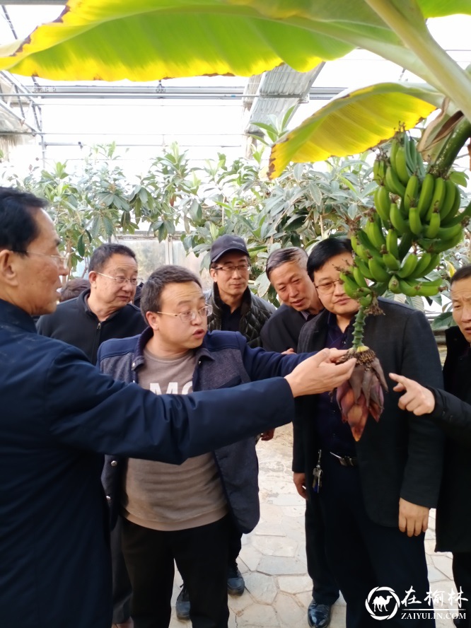 府谷保德两地作家开展文学采风交流活动：讲好黄河故事