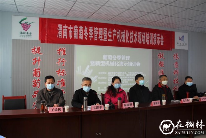 临渭区组织召开葡萄冬季管理暨生产机械化技术现场培训演示会