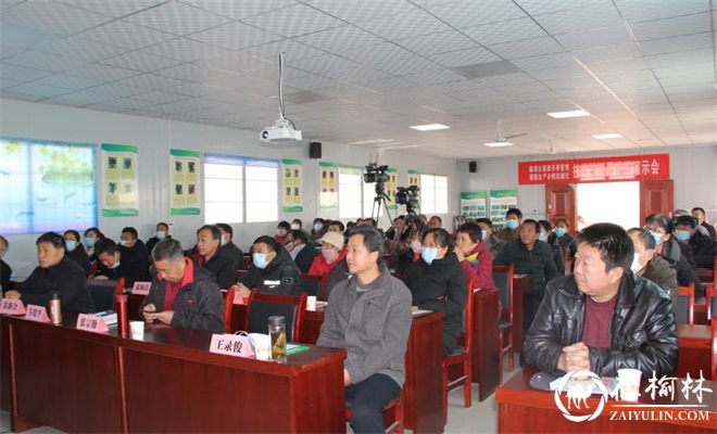临渭区组织召开葡萄冬季管理暨生产机械化技术现场培训演示会
