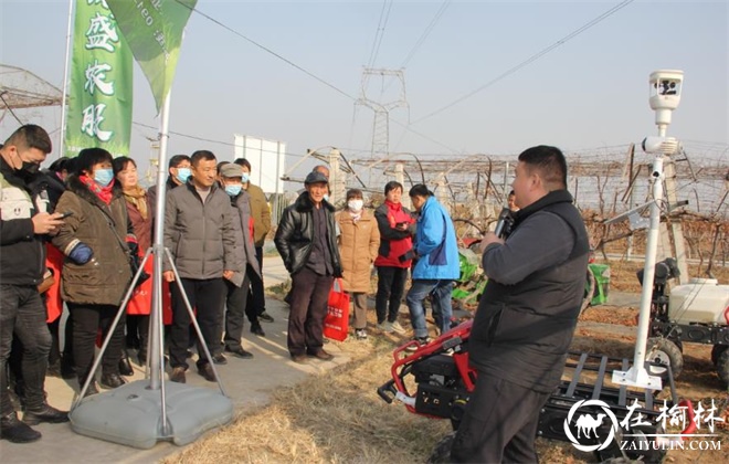 临渭区组织召开葡萄冬季管理暨生产机械化技术现场培训演示会