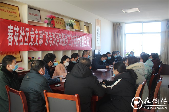 崇文办春苑社区党支部开展“双考双评双报到”工作年度考核暨民主评议