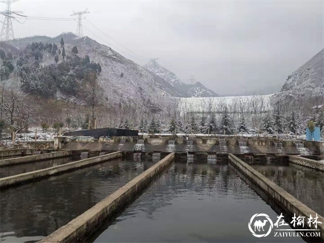 喜讯！临渭区2家水产养殖场获评国家级水产健康养殖示范场