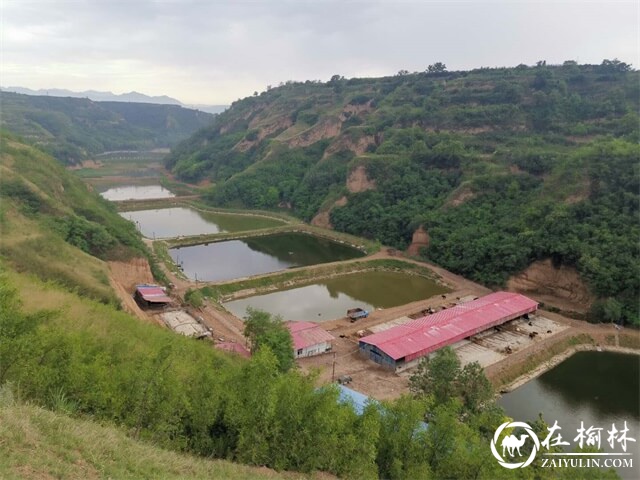 喜讯！临渭区2家水产养殖场获评国家级水产健康养殖示范场