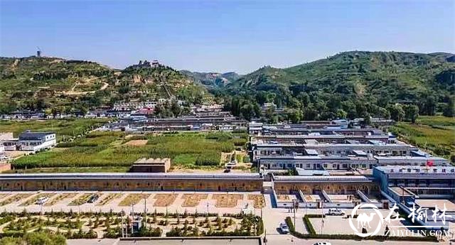 产业托起致富梦！榆阳区脱贫攻坚与乡村振兴有效衔接