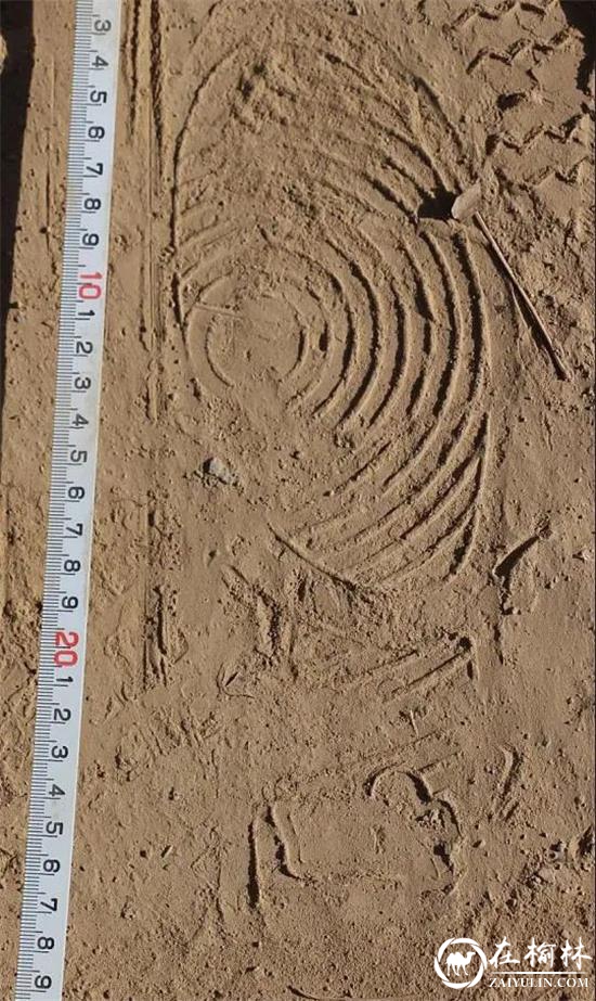 绥德一男子泄私愤烧毁邻居上万斤玉米，现场“神秘脚印”快速破案