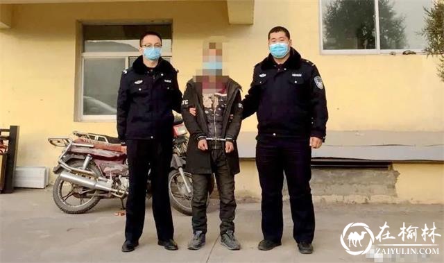 横山区魏家楼镇一男子接连4次偷吃村民家养鸡被刑事拘留