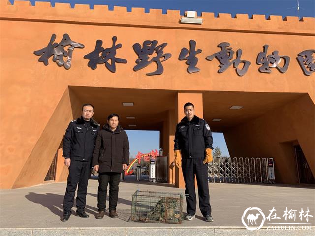 生态环境好了，绥德森林派出所的民警们更忙了