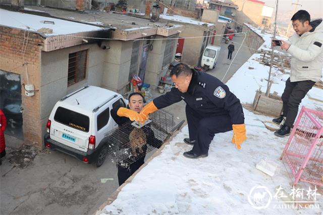 生态环境好了，绥德森林派出所的民警们更忙了