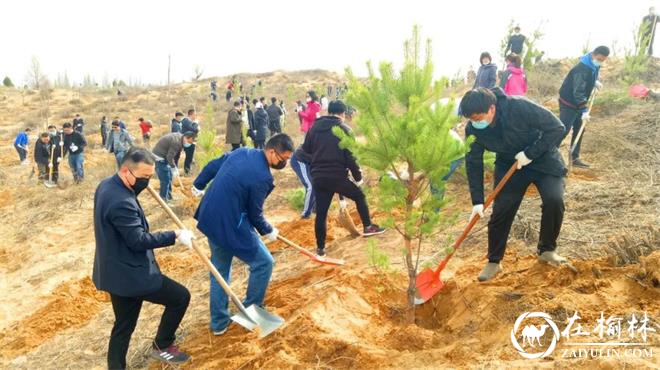 期待！今年榆林计划在中心城区外围增绿30万亩