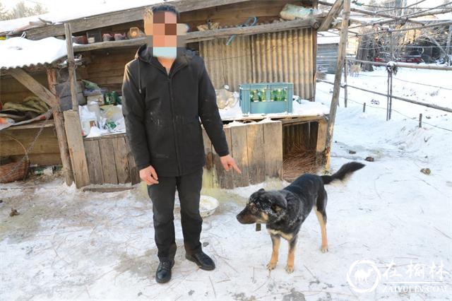 黑龙江省林区公安局绥棱分局连破六起非法狩猎案件