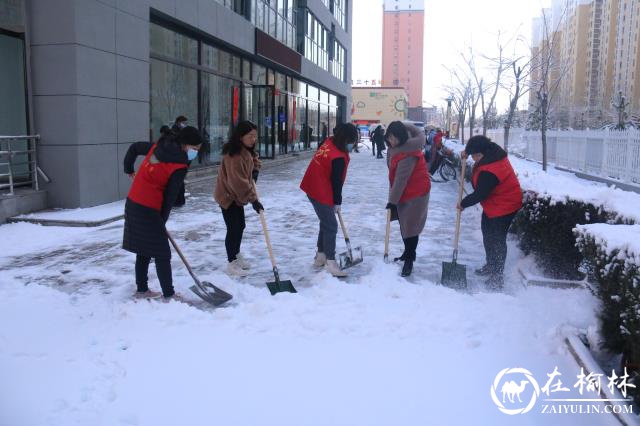 金沙路街道办金榆社区：以雪为令，扫雪除冰保通行