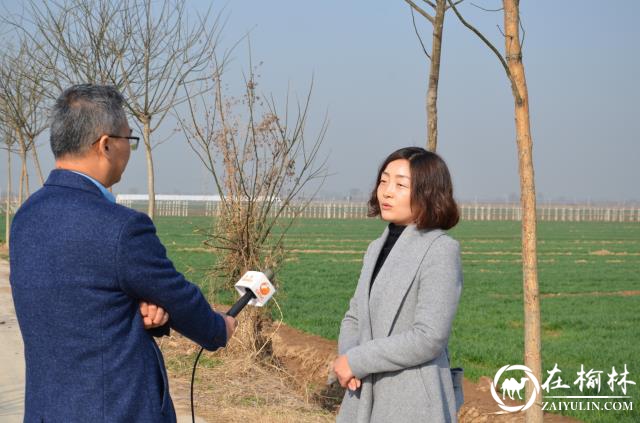临渭区：抓住晴好天气，开展春季麦田化除