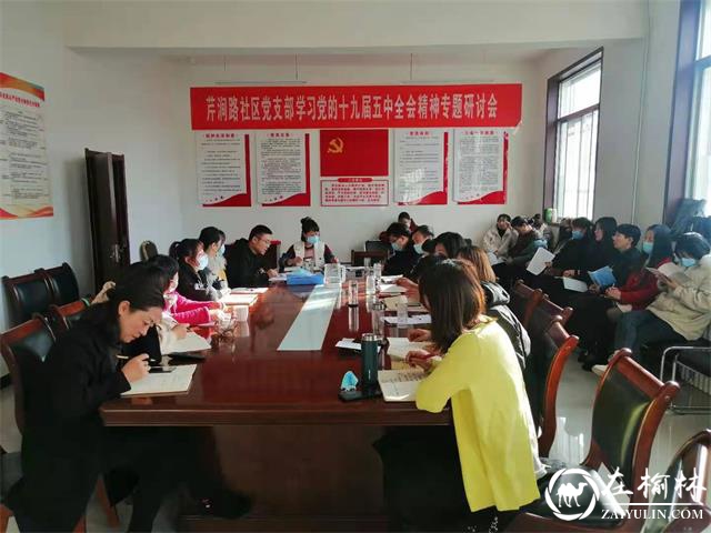 崇文办芹涧路社区党支部组织学习党的十九届五中全会精神