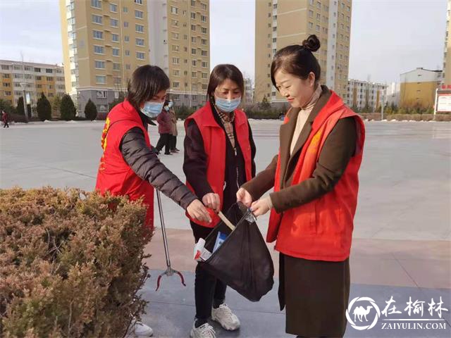 驼峰办金阳社区开展“日行一善 春天志愿行”学雷锋志愿服务活动