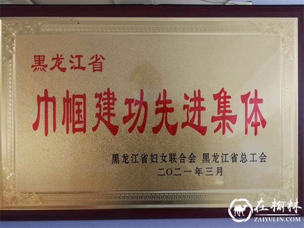 喜报！牡丹江市爱民区人民法院获“黑龙江省巾帼建功先进集体”荣誉称号