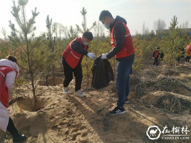 榆阳区明珠路街道办开展3·5学雷锋日志愿服务活动