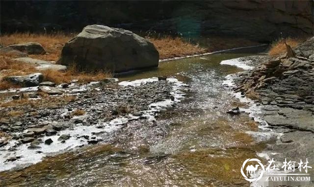 府谷县碛塄农业园区石马川大峡谷发现罕见竹类化石