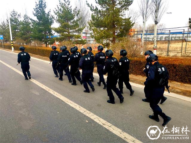 人勤春来早，训练正当时——靖边特警大队开展春季训练