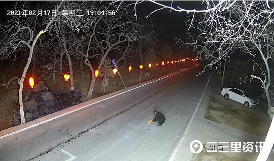 榆林一男子蹲公路上放炮被撞，送医后抢救无效死亡