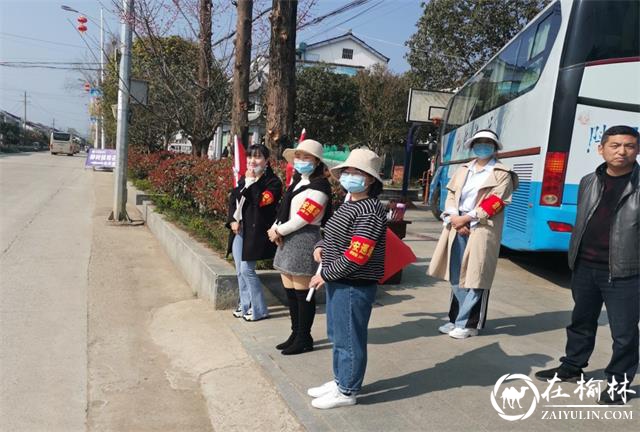 西乡县柳树镇中心学校开展党员做义工、志愿服务油菜花节活动