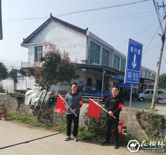 西乡县柳树镇中心学校开展党员做义工、志愿服务油菜花节活动