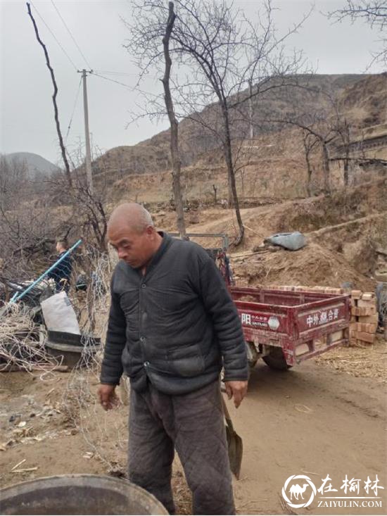 米脂县龙镇藏香猪特色养殖让贫困户迎来脱贫致富“曙光”