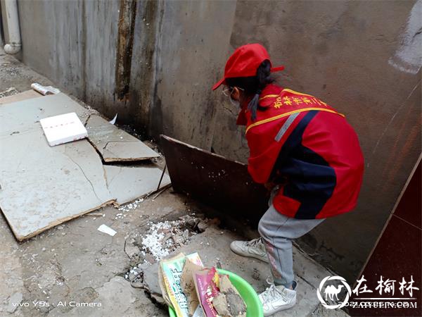 榆阳区桃源路社区携手榆林市第二十八小学开展环保系列志愿活动