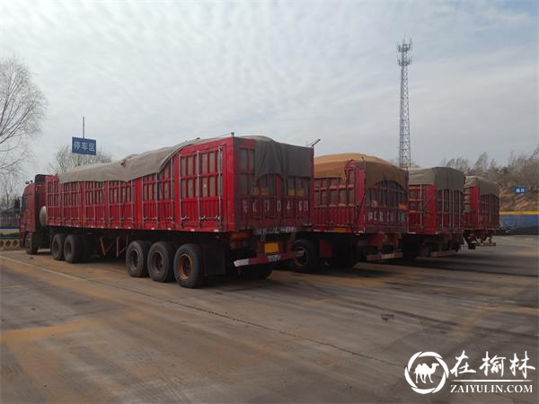 古城滩治超站2021年一季度路警联合执法成效显著