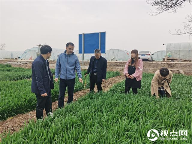 陕西省农业农村厅工作组到临渭区开展春季农业生产技术指导工作