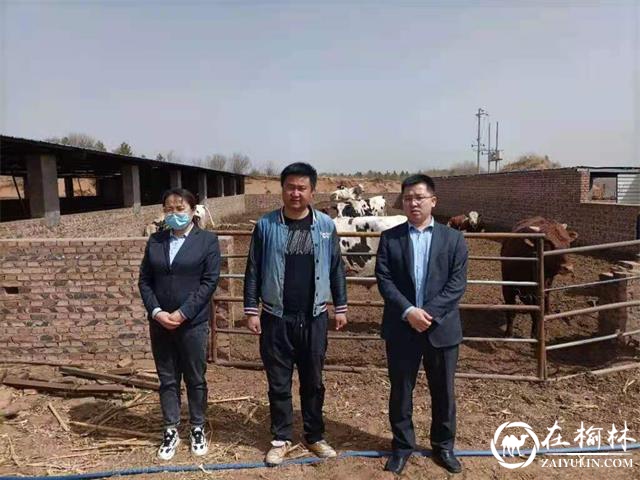 神木市农业银行“惠农e贷”助力乡村振兴