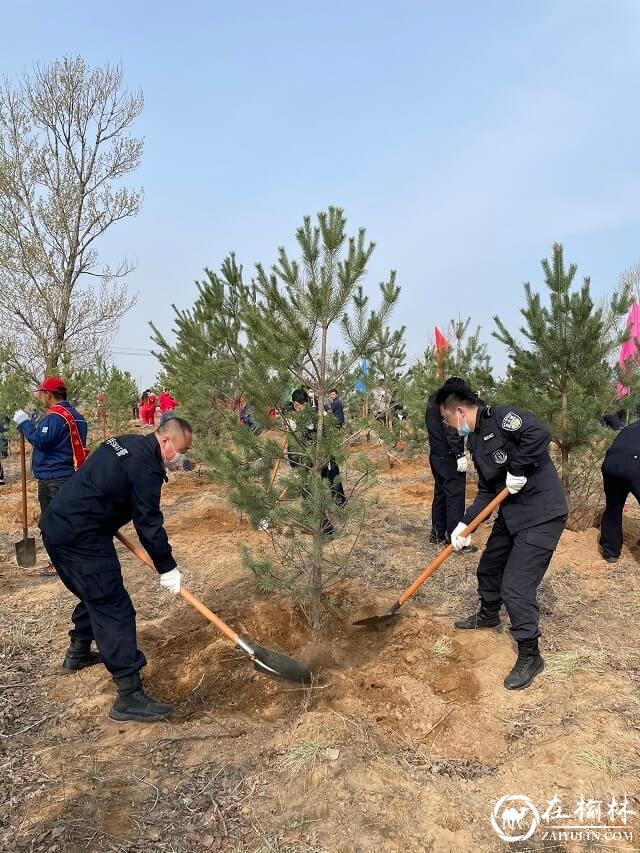 靖边县公安局积极开展义务植树活动