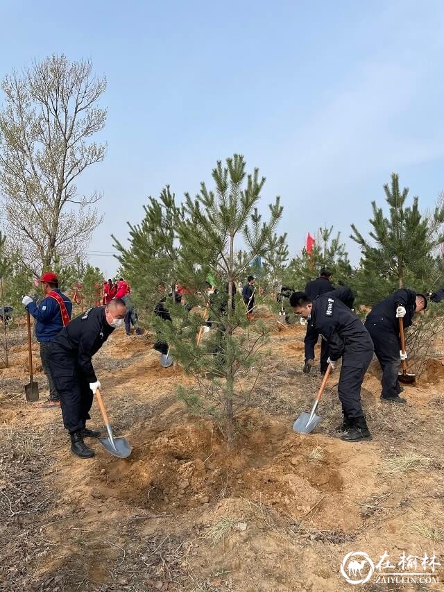 靖边县公安局积极开展义务植树活动