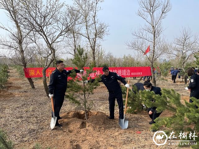 靖边县公安局积极开展义务植树活动