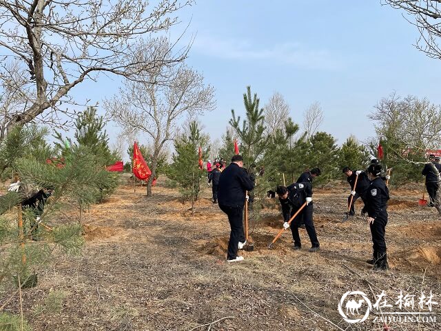 靖边县公安局积极开展义务植树活动