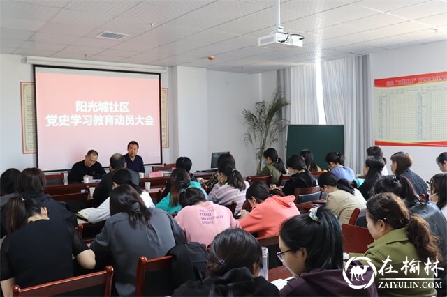 沙河路街道阳光城社区召开党史学习教育动员会
