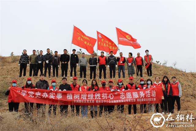 榆阳区芹涧路社区：学党史办实事，植树增绿践初心