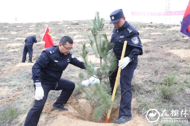 “藏蓝”迎“新绿” 绥德公安植树正当时！