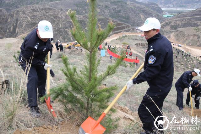 “藏蓝”迎“新绿” 绥德公安植树正当时！
