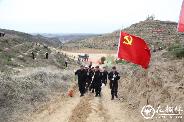 “藏蓝”迎“新绿” 绥德公安植树正当时！