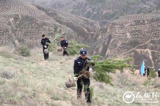 “藏蓝”迎“新绿” 绥德公安植树正当时！
