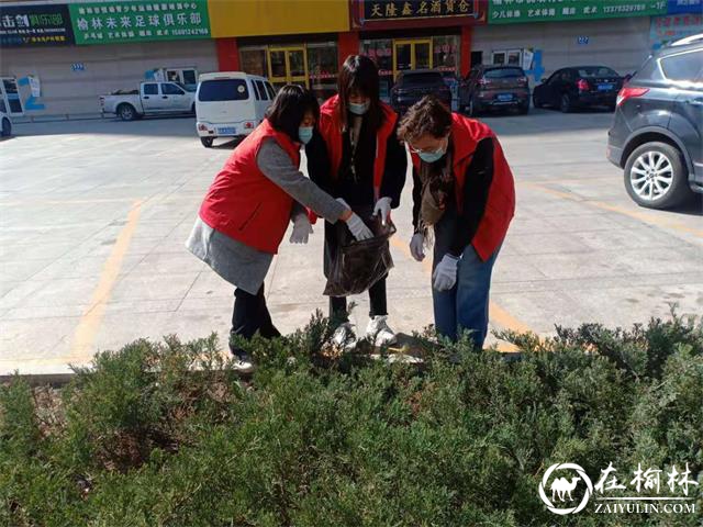 沙河路街道办桃李路社区：我为群众办实事，环境整治总动员