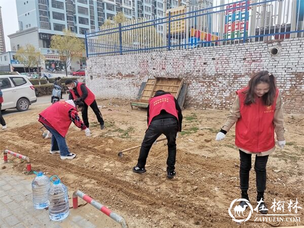 榆阳区望湖路社区响应国卫复审号召，开展环境卫生大整治工作