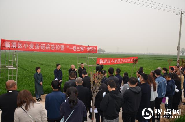 渭南市临渭区召开小麦条锈病防控暨“一喷三防”现场会