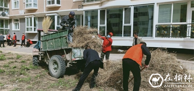 “双报到”单位党员干部和志愿者们在通庆坊小区清理杂草